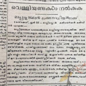 മാപ്പിളസ്ഥാന്‍ വാദം